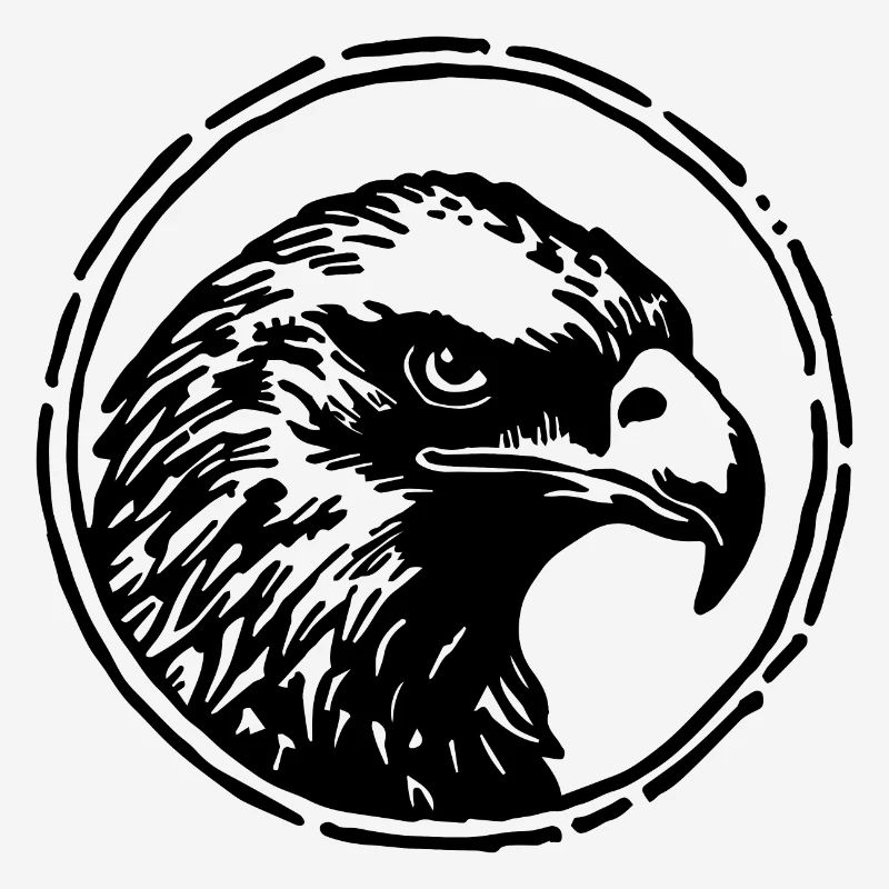 Aigle Tête d’aigle