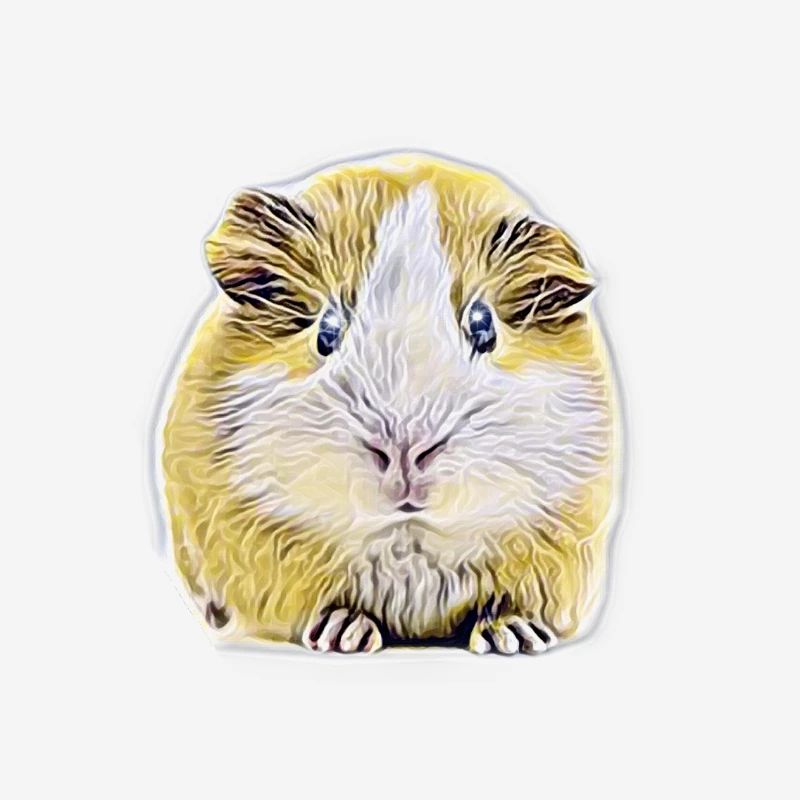 Cochon d'Inde
