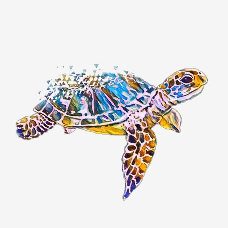 Tortue