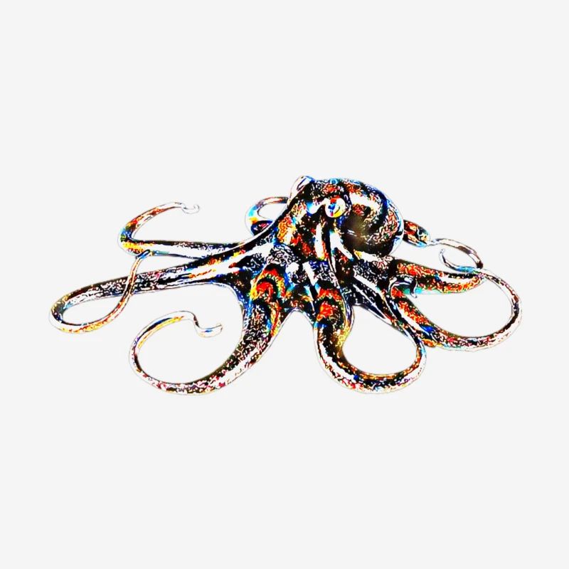 Octopus