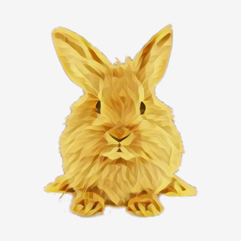 Rabbit