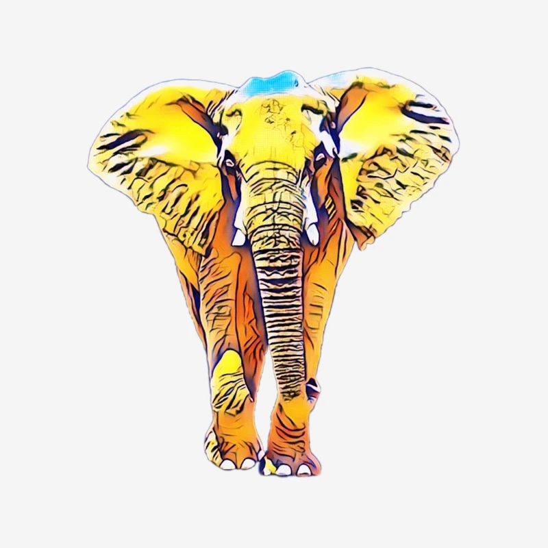 Elefant