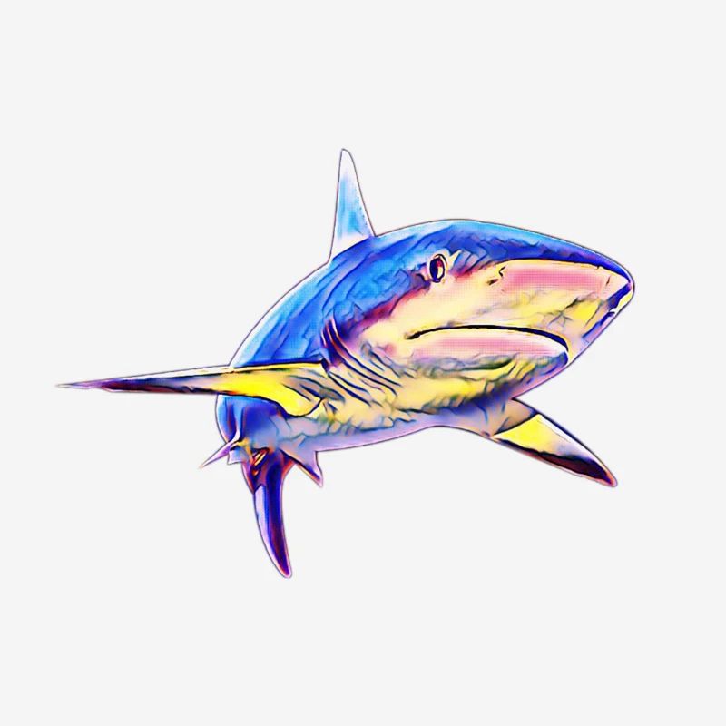Requin