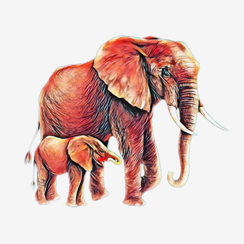 Éléphant