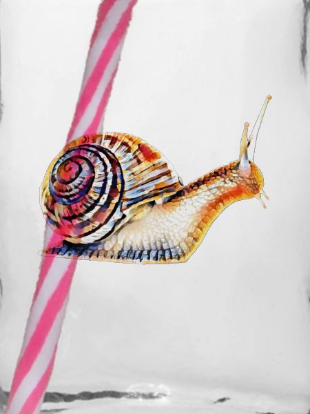 Escargot