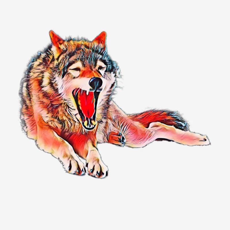 wolf