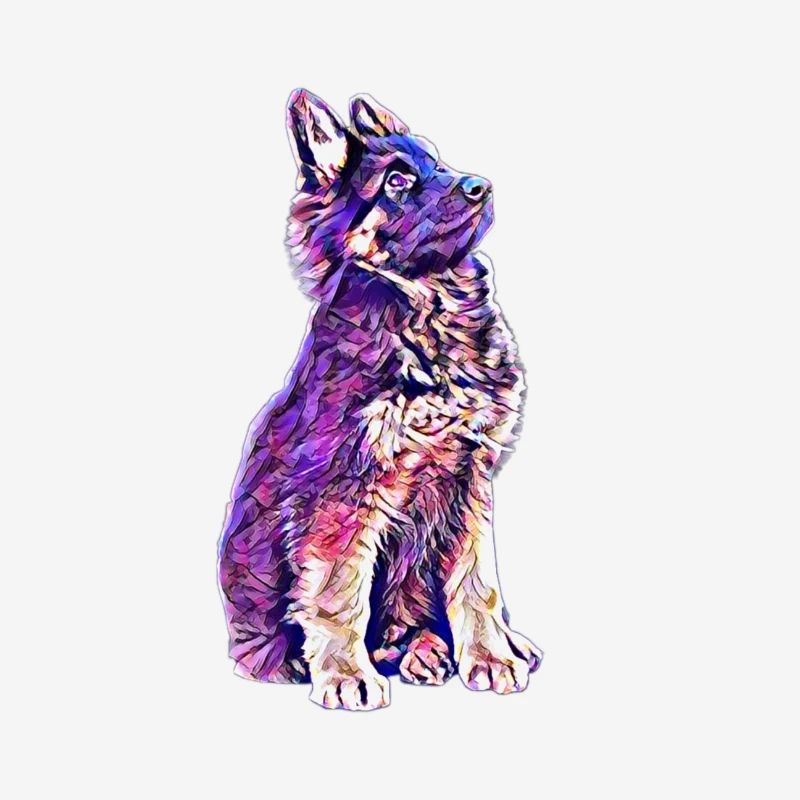 Chiot berger allemand