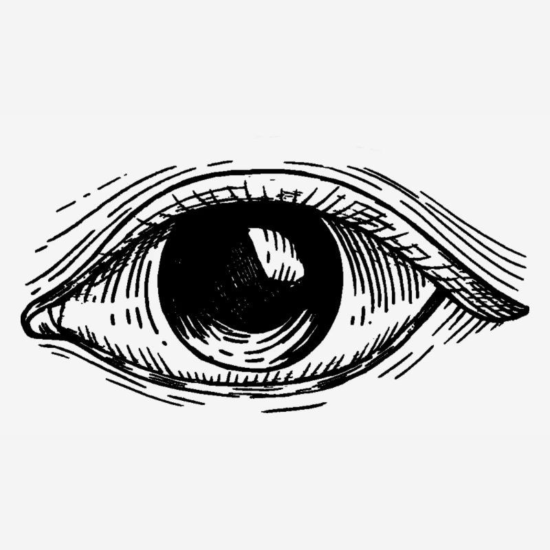 Eye/Eye Logo