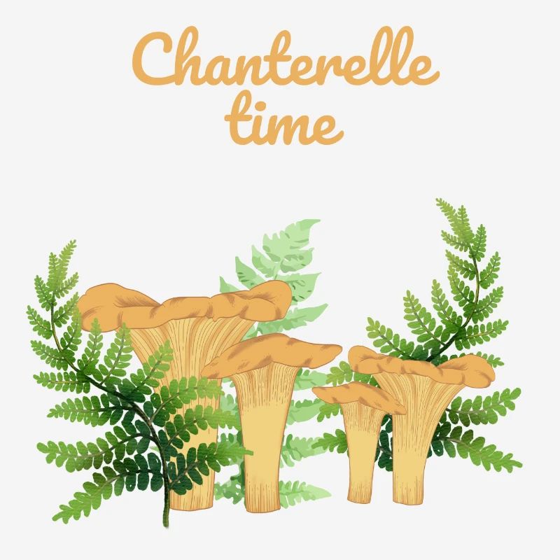 Girolles dans une forêt