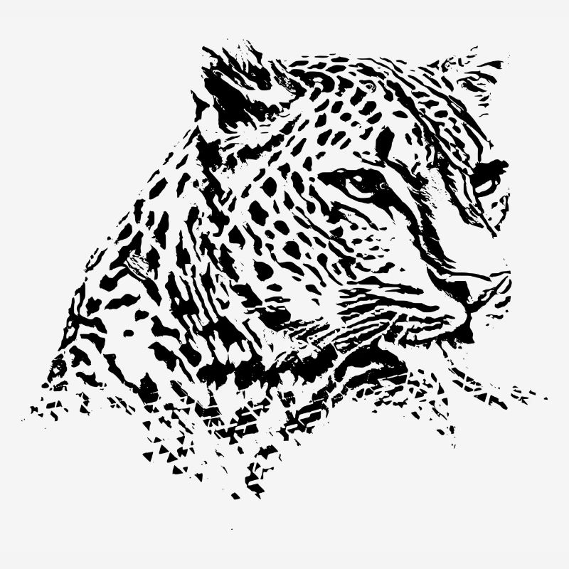 Léopard