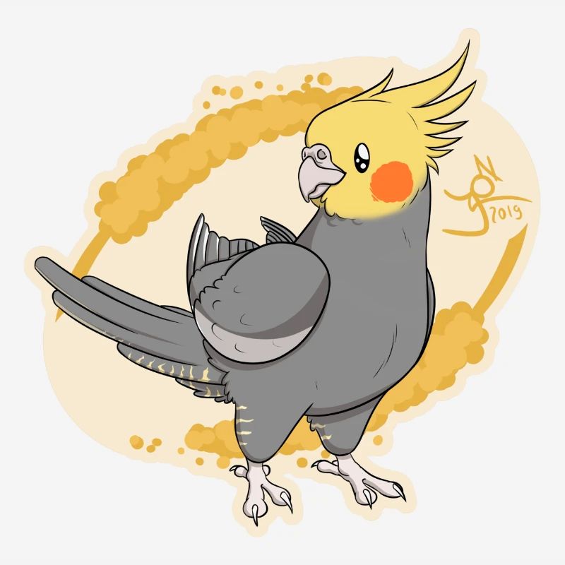 Cockatiel Cinnamon