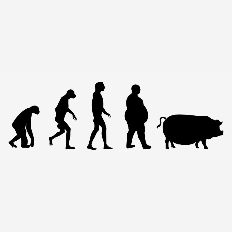 Evolution from ape to man to pig