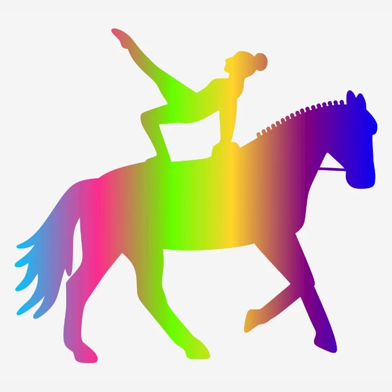 Volti bunt - Voltigierer Geschenk