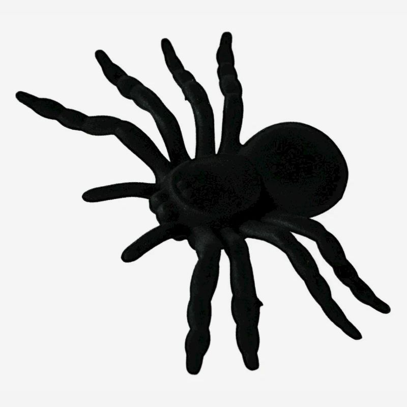 Spider Web, Spider Web, Spider Phobia, Disgusting Gift