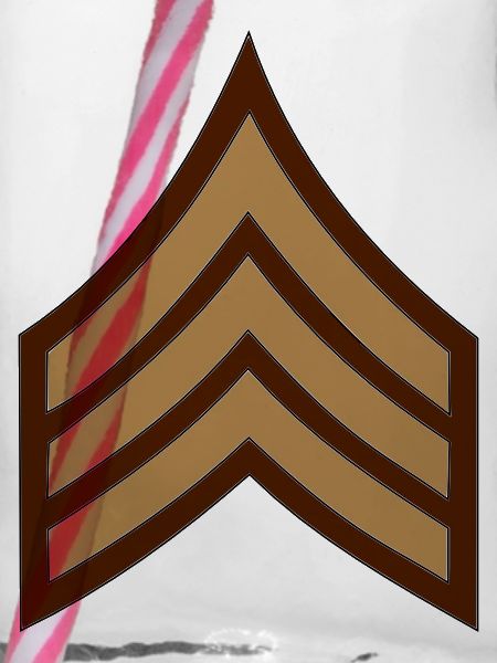 U.S. Army Chevron