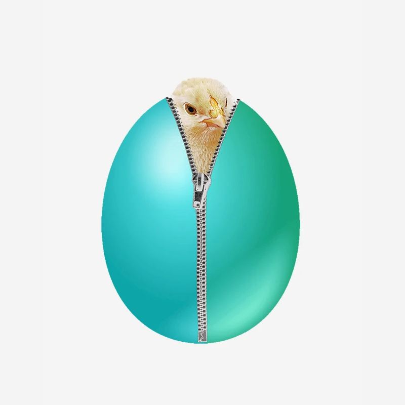 Chick Zip Easter Egg cadeau
