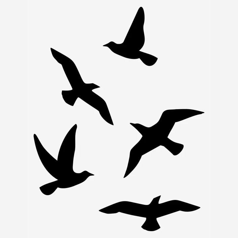 Oiseaux