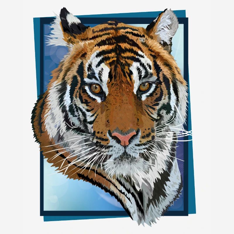 tigre du Bengale