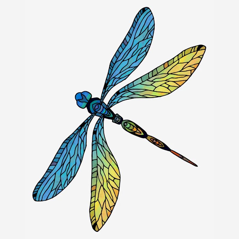 Libellule