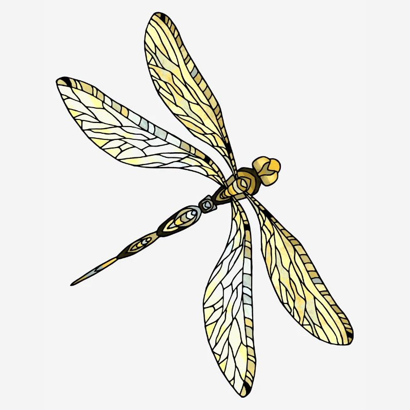 Libellule