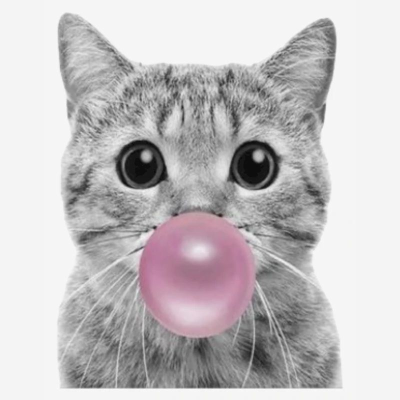 Bubble Katze