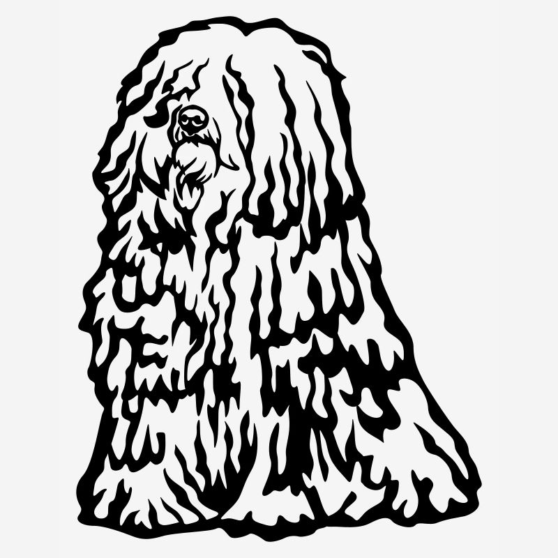 Puli