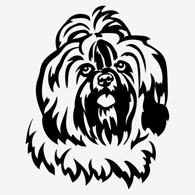 Shih-Tzu Head