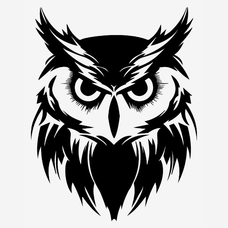 Eule Eulen Vogel Vögel