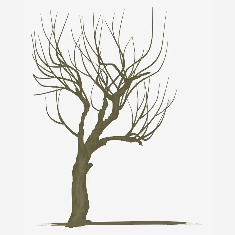 Tree without leaves - modificated
