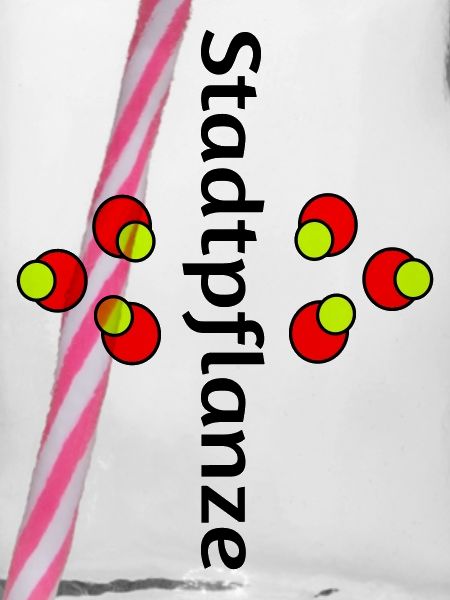 Stadtpflanze