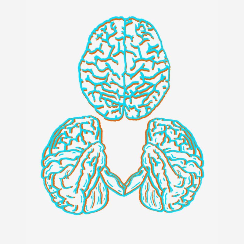 Brain