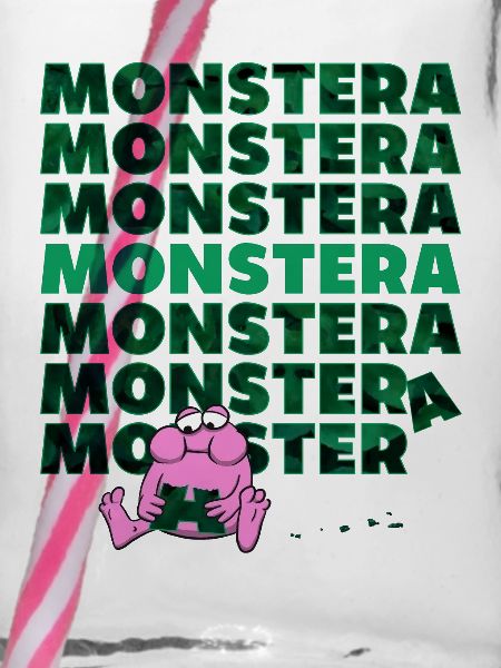 Monstre Monstera