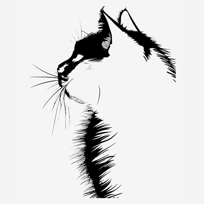 Cat, Cat Motif