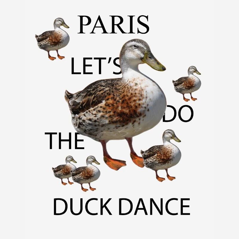 Danse du canard