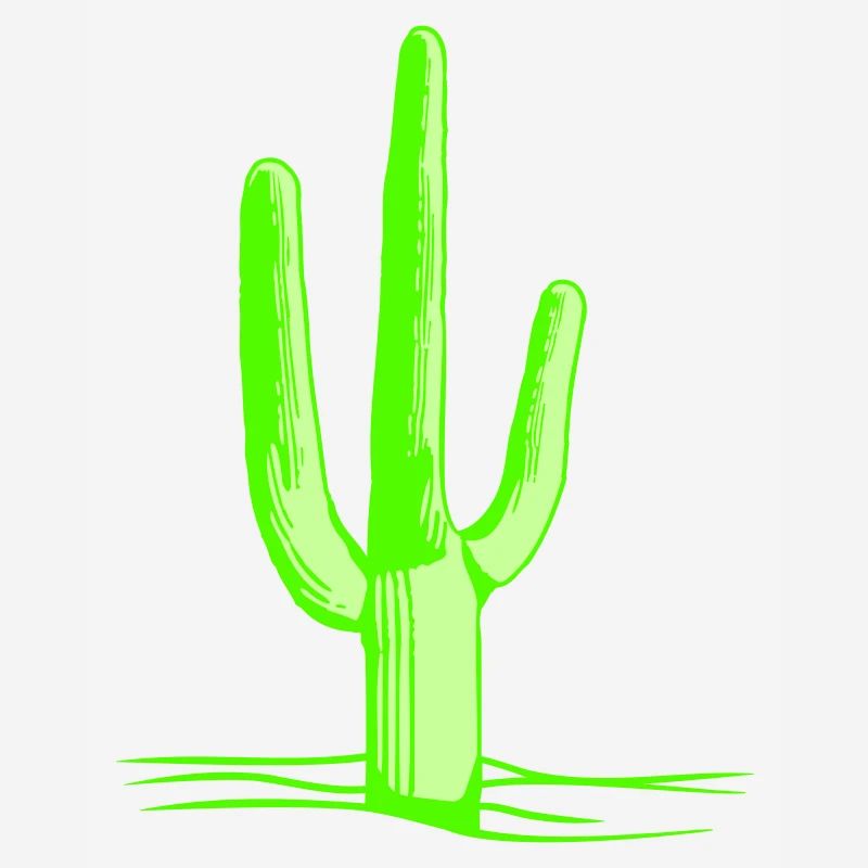 Cactus Spines Desert Cacti Cool Cacti