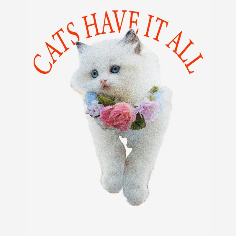 Sassy Cat