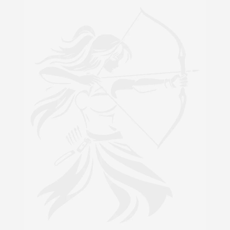 Archer Silhouette with Bow