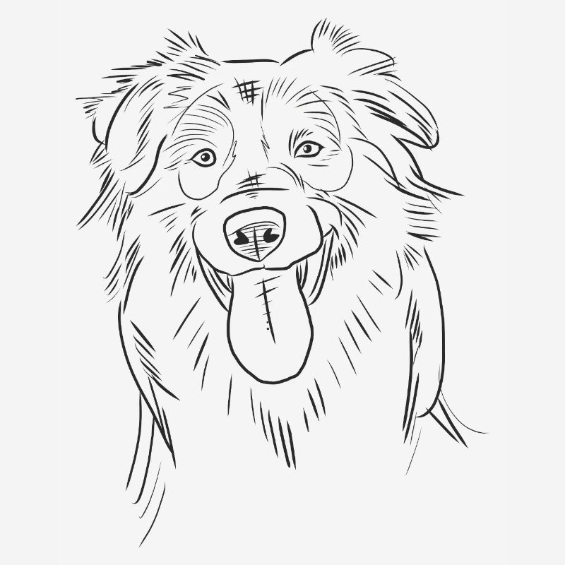 Funny Australian Shepherd Aussie Sketch Line Art 