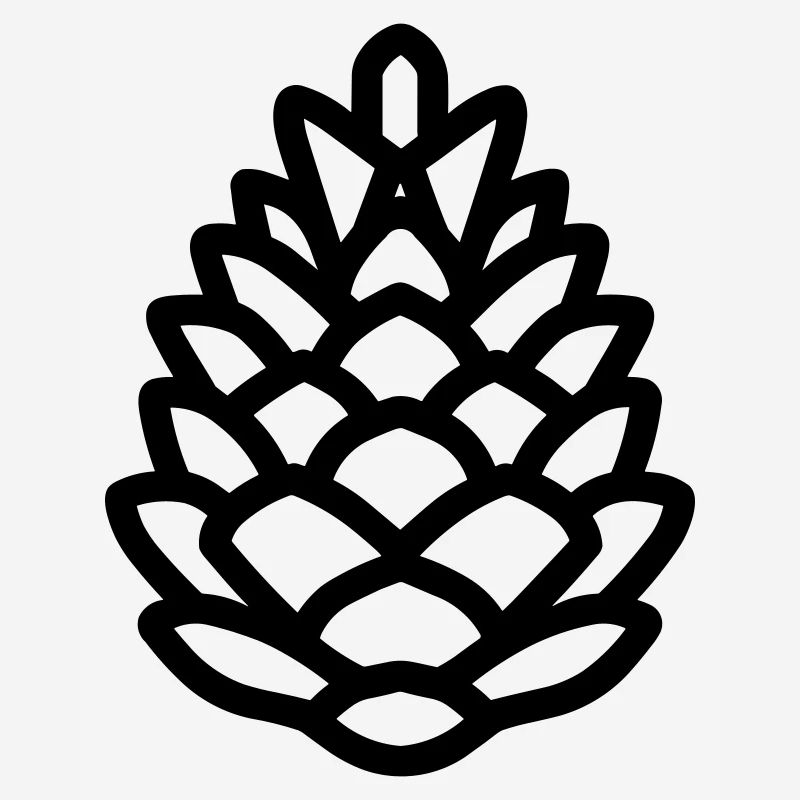Pine Cone