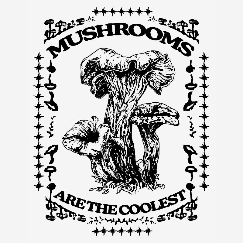 LES CHAMPIGNONS SONT LES PLUS COOL