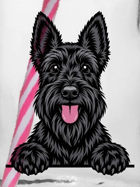 Scottish Terrier