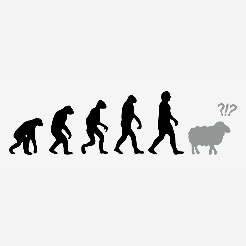 evolution mouton