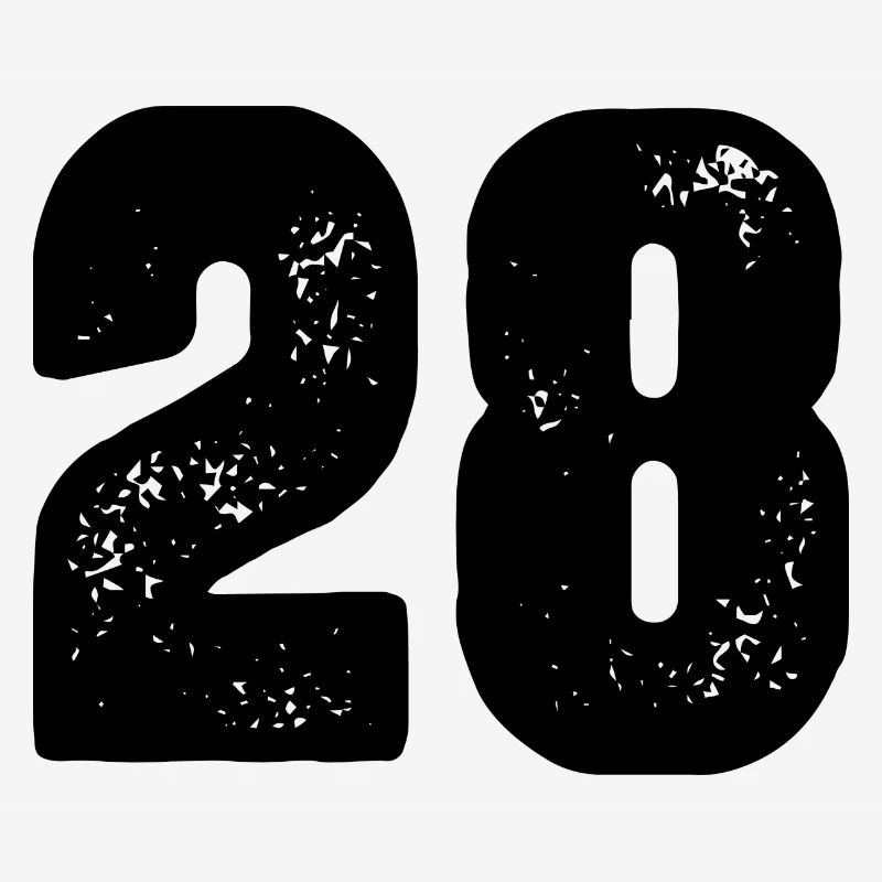 Maillot numéro 28