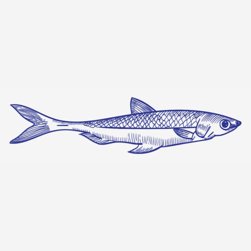 Poisson