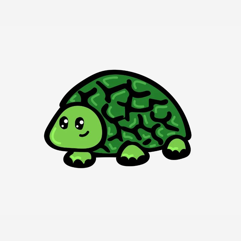 Schildkröte