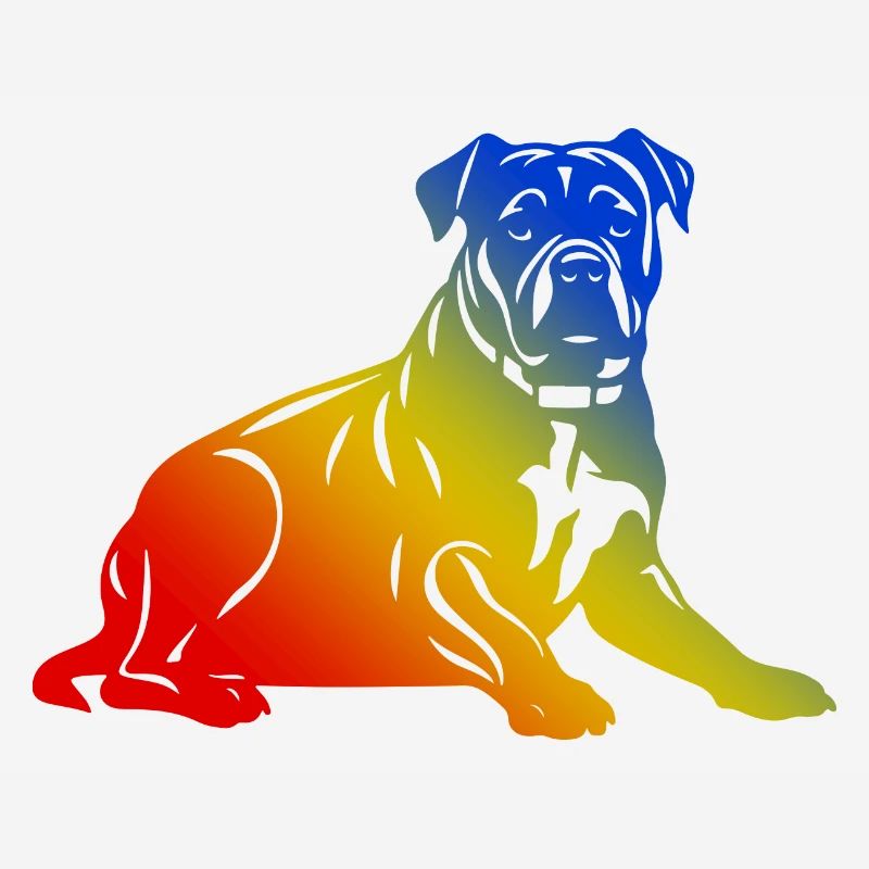 Chien Pit Terrier