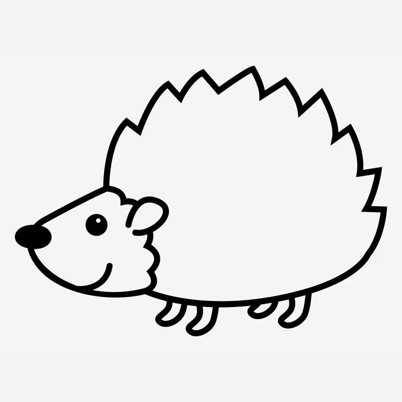 Hérisson animal comique