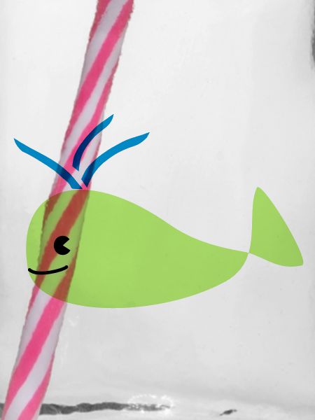 whale