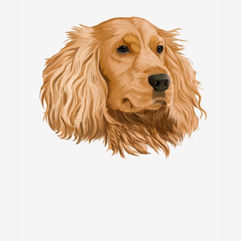 Cocker Spaniel