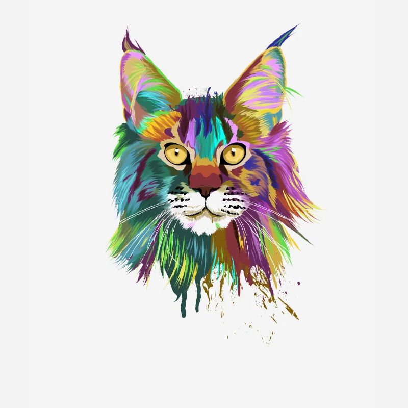 Splash Maine coon Cat